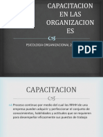 Capacitacion en Las Organizaciones