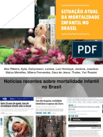Mortalidade Infantil No Brasil