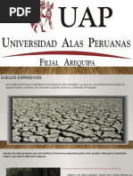 Presentación1 Suelos Expansivos Ronyyyyyyyyyyyy