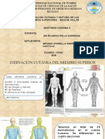 INERV Cutánea y Motora-Región Axilar