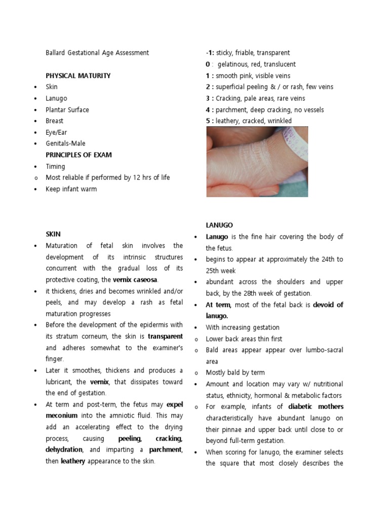 Ballard Gestational Age Assessment Anatomical Terms Of Motion Elbow