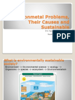 Environmetal Problems, Their Causes and Sustainable