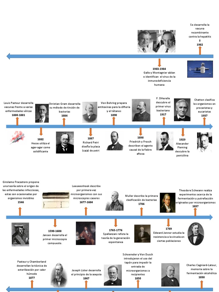Línea del tiempo de la microbiología | PDF | Microorganismo | Luis Pasteur