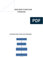 Metabolisme Purin Dan Pirimidin 2014