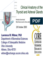 2003-10-28_thyroid-adrenal.pdf