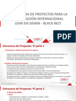 Estructura de Proyectos Lean Six Sigma