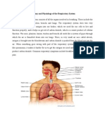 Anatomy and Physiology of The Respiratory System