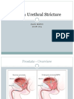 BPH & Urethral Stricture Guide