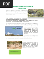 Definicion e Identificacion