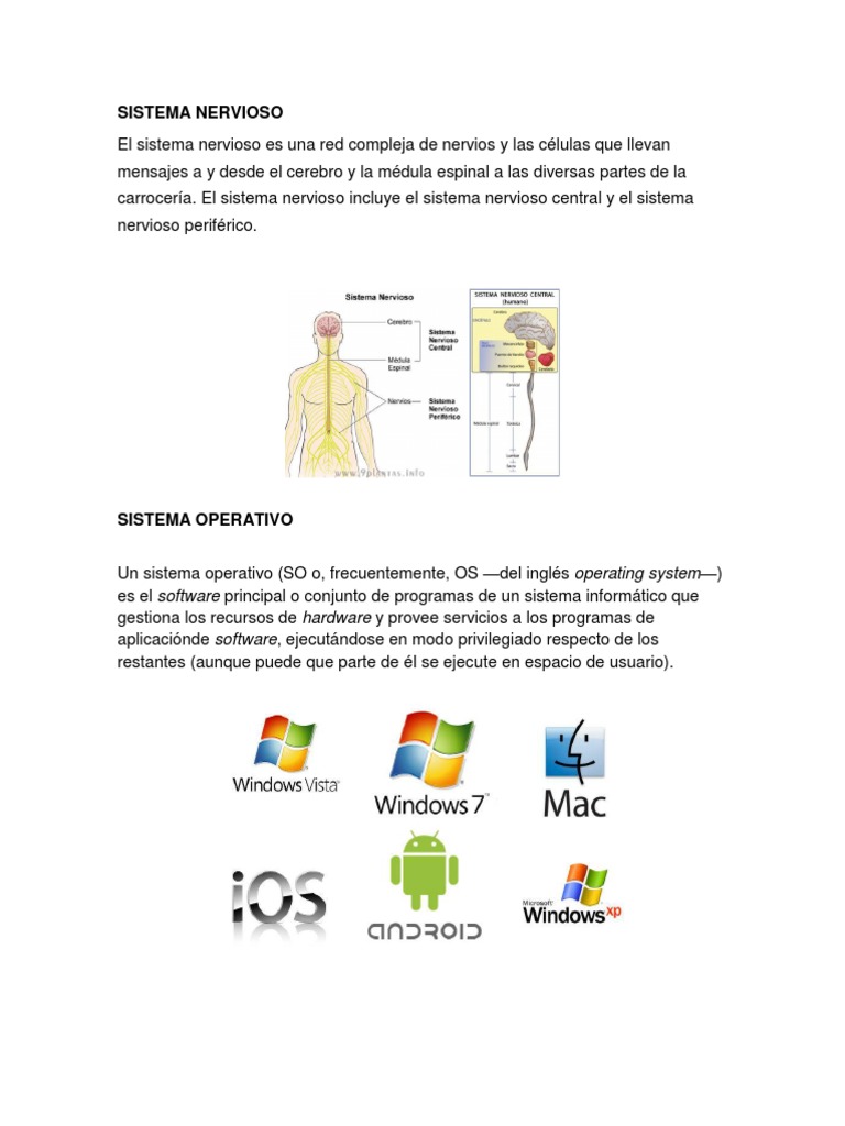 Sistema Nervioso