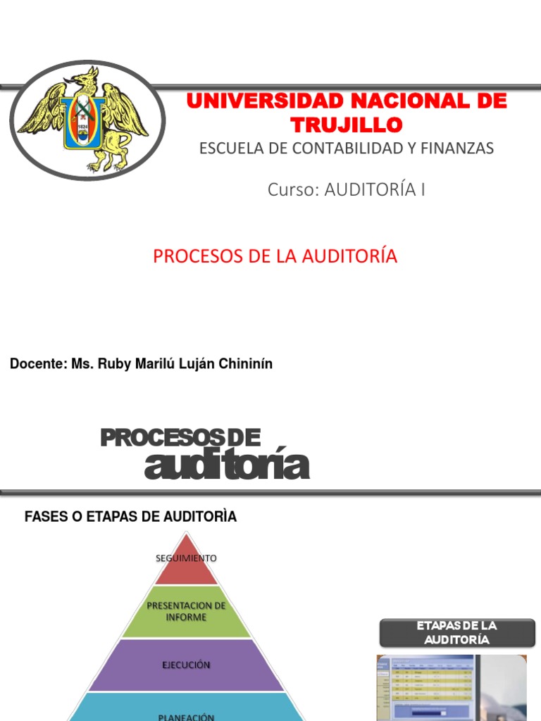 Semana 2 Proceso de Auditoria | PDF | Auditoría | Contralor