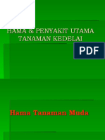 Hama & Penyakit Kedelai