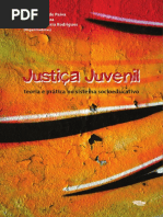 Justiça Juvenil PDF