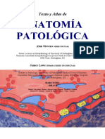 Anatom a Patol Gica