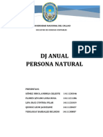 DJ Anual Persona Natural 1
