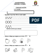 Prueba Diagnóstica