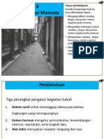 Bab 8 Sistem Regulasi Manusia PDF