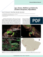 Leptodeira Annulata PDF