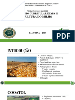 Cultura do Milho - Zea mays