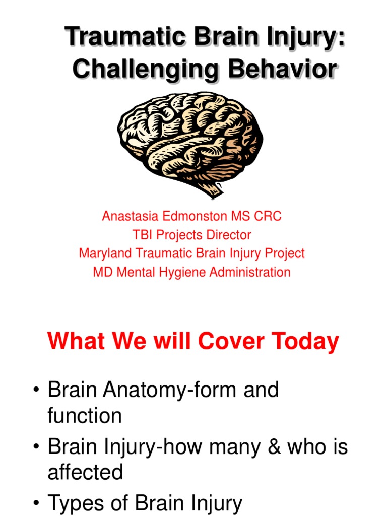 Understanding Traumatic Brain Injury | PDF | Traumatic Brain Injury ...