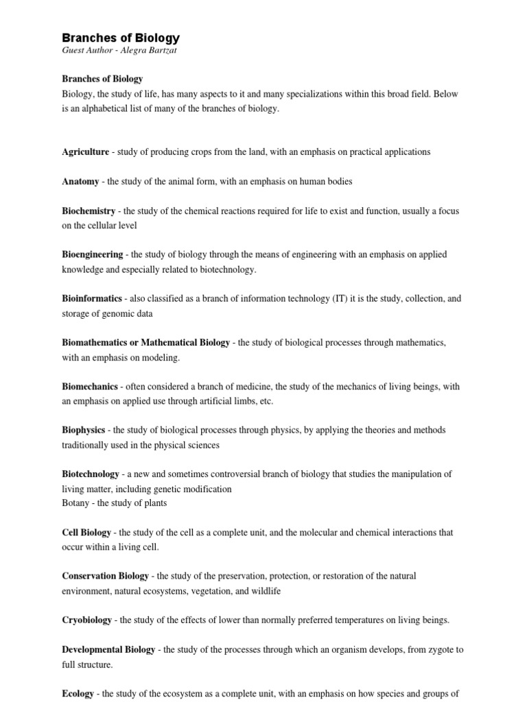 Branches of Science | PDF