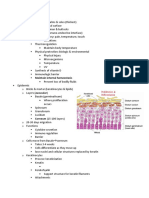 Structure & Function of The Skin