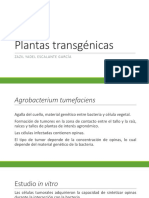 2.1 Plantas Transgénicas2