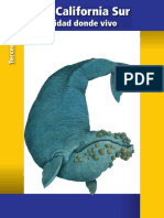 Entidad PDF