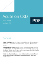 Acute On CKD Css