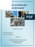 Oso Polar Arturo