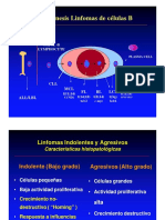 04 Linfomas B