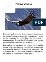 ANIMALES EN PELIGRO DE EXTINCIÓN.docx