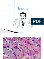 Monitoria histologia - TGI - 3 bim.pptx