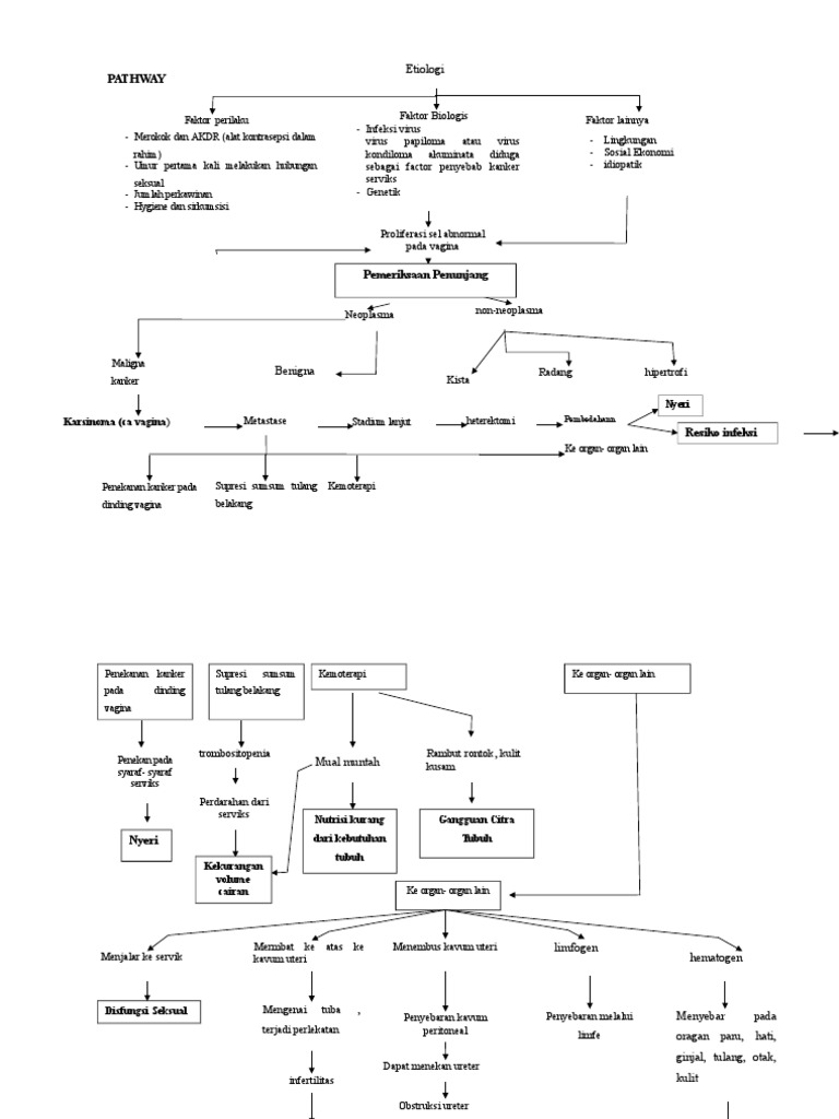 Pathway CA Vagina | PDF