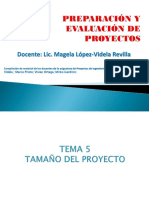 TEMA 5 Tamaño-1