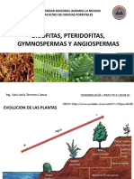 1.Caracteristicas Fundamentales Briofitas, Pteridofitas,, Gymnospermas, Angiospermas_DENDROLOGIA I - PARTE I
