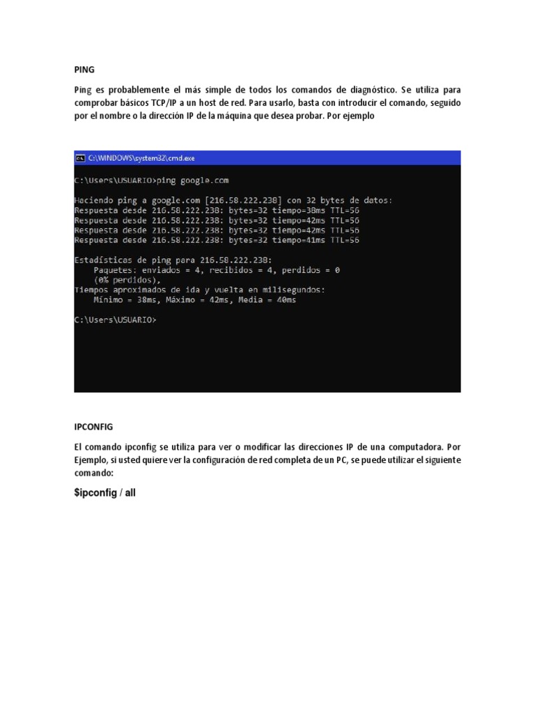 PING | PDF | Informática