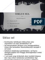 Siklus Sel