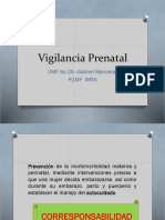 Vigilancia Prenatal