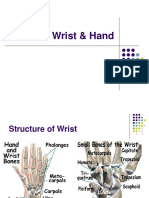 39145538-Wrist-Hand