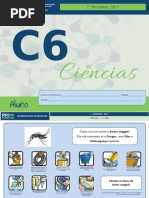 C6_1BIM_ALUNO_2017