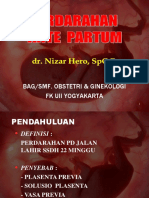 Perdarahan Antepartum