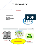 Direito Ambiental