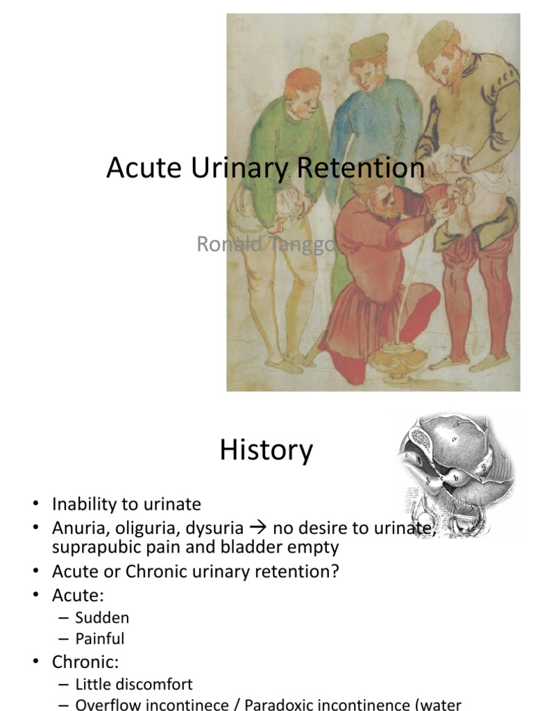 Which Cues Support The Hypothesis Of Urinary Retention