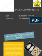 Egg Drop Syndrome