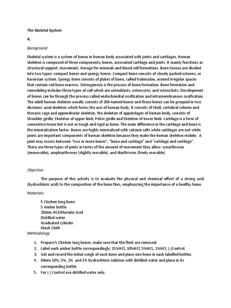 The Skeletal Protocol 2 | PDF | Osteoblast | Bone