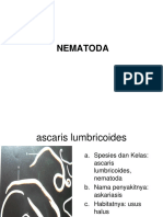 NEMATODA DAN PARASIT LAINNYA