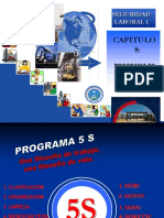 C 8 Programa 5S PDF