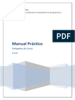 Manual Practico Delegados V4.0