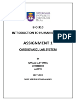 Assignment 1 Bio 310